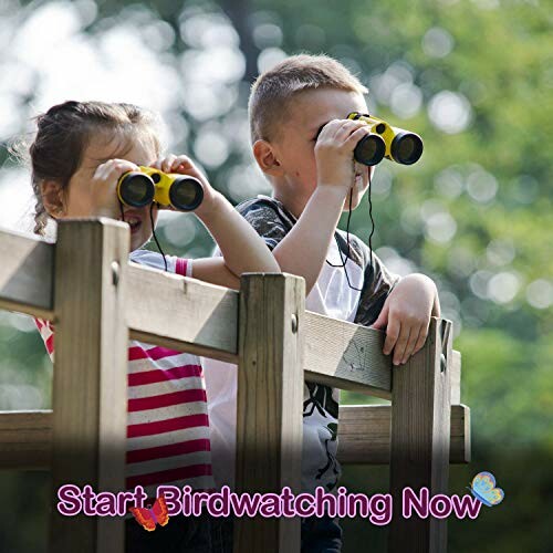 Two children using binoculars on a wooden platform.